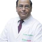 
Dr. Anil Saxena